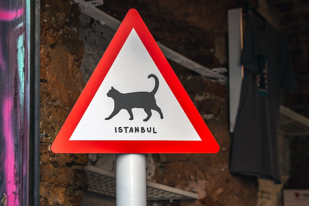 A street sign telling people that cats might cross and it says Istanbul with a cat image