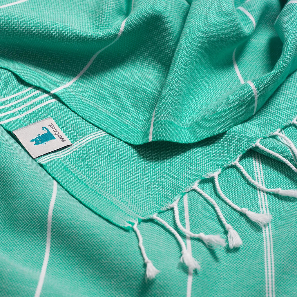 #color_mint green