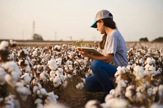 A woman inspecting cotton in a field